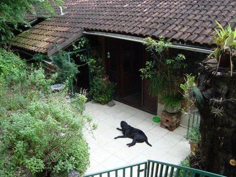 Casa Alecrim Acomodação com café da manhã Rio de Janeiro Exterior foto